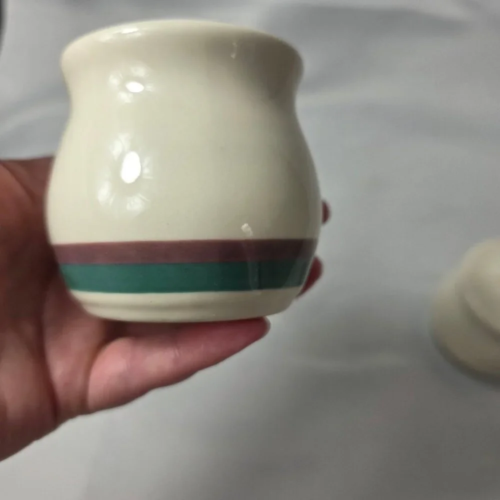Pfaltzgraff Juniper Salt & Pepper Shakers Ivory with Mauve and Green Bands